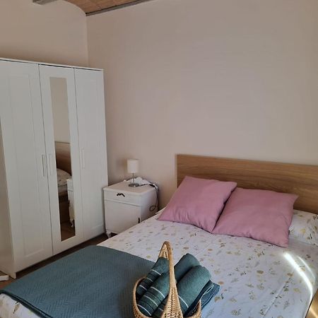 El Niu Dels Ocells Appartement Sant Joan de les Abadesses Buitenkant foto