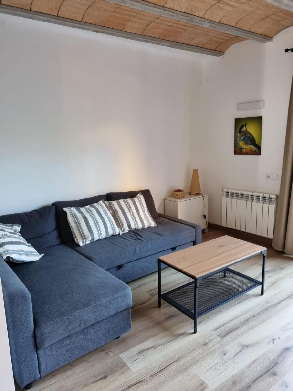 El Niu Dels Ocells Appartement Sant Joan de les Abadesses Buitenkant foto