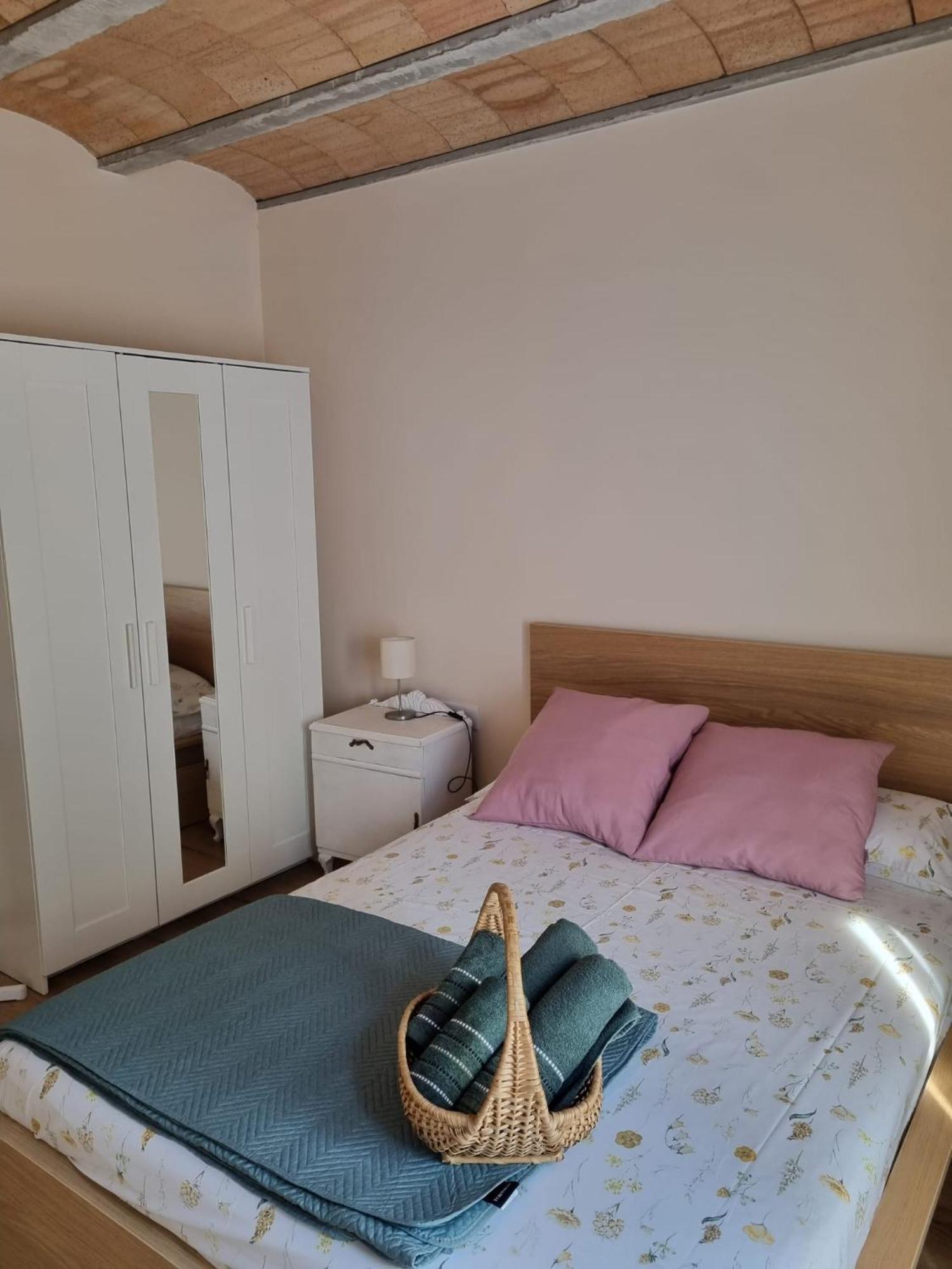 El Niu Dels Ocells Appartement Sant Joan de les Abadesses Buitenkant foto